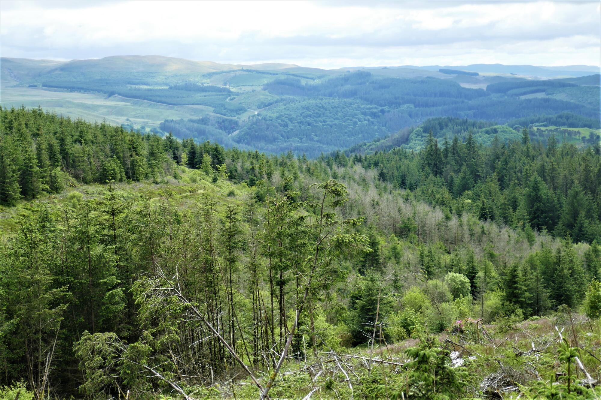 RachelSeabrook.net | Wild Walking | Devils-Bridge; pic56